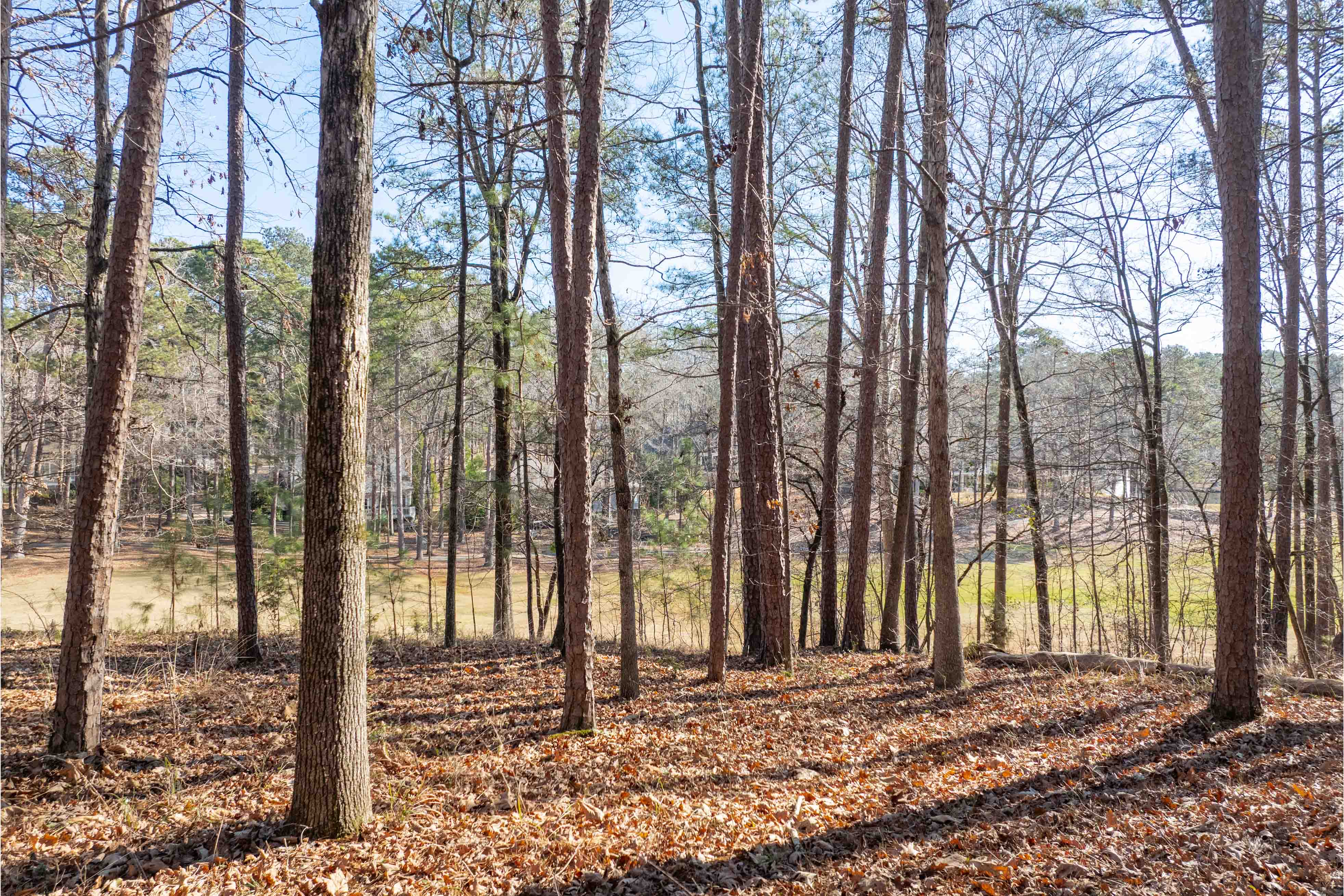 1180 Planter's Trail image 8